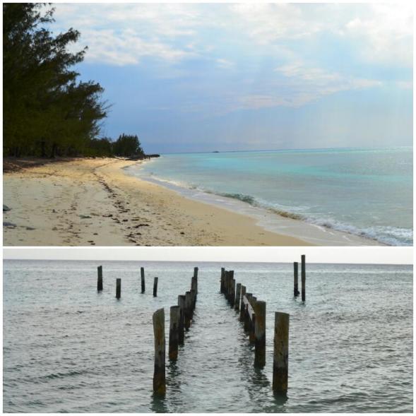 2012-04-bahamas-new-providence-clifton-heritage-park-flipper-beach.jpg